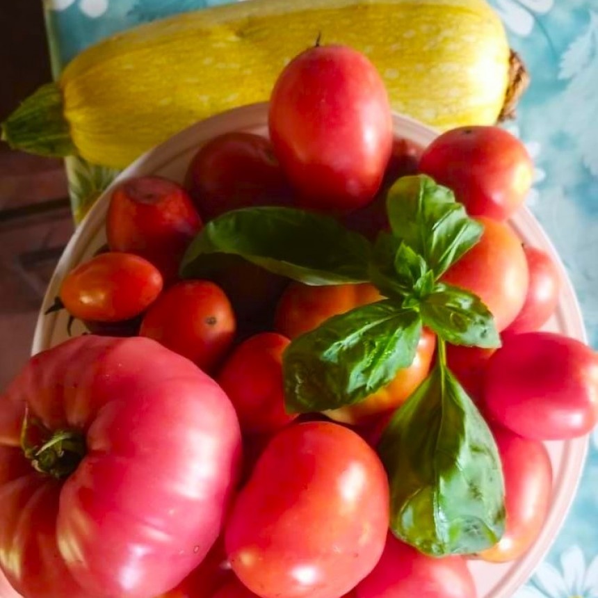 Exitosa prueba piloto del banco de semillas municipal