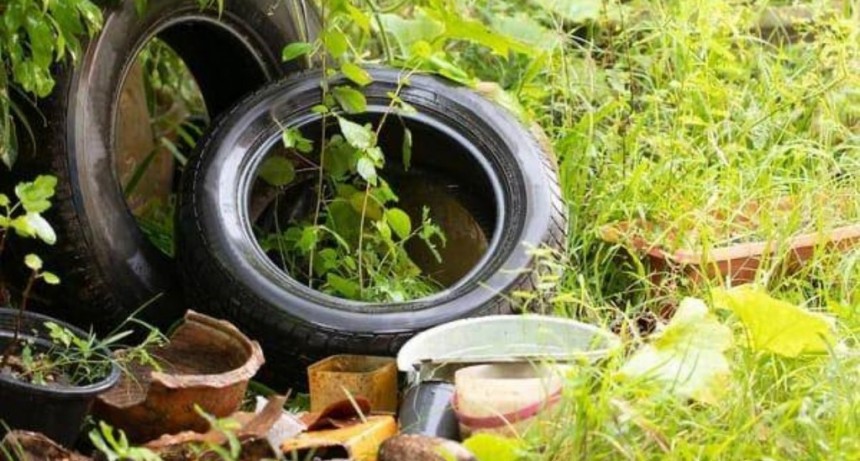  Jornada de descacharrado