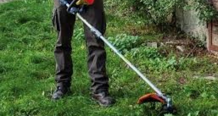 Por una ciudad más limpia y ordenada