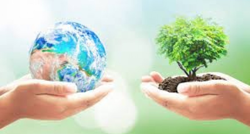 Columna sobre Medio Ambiente