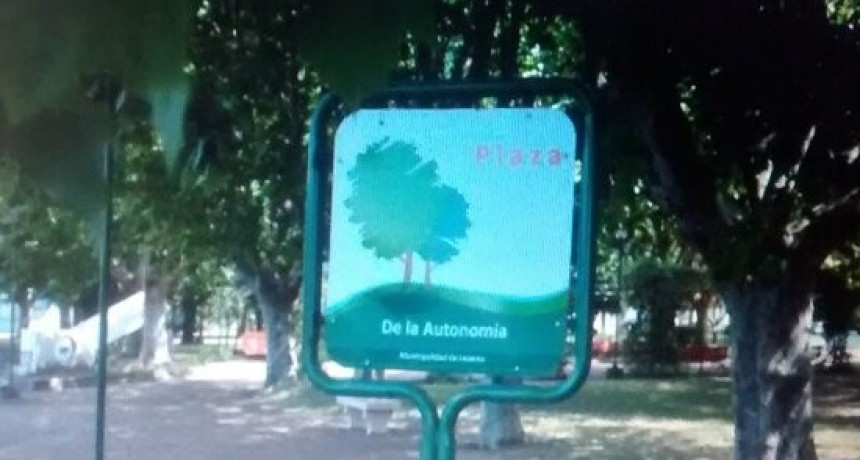 Poda en la Plaza de la Autonomía