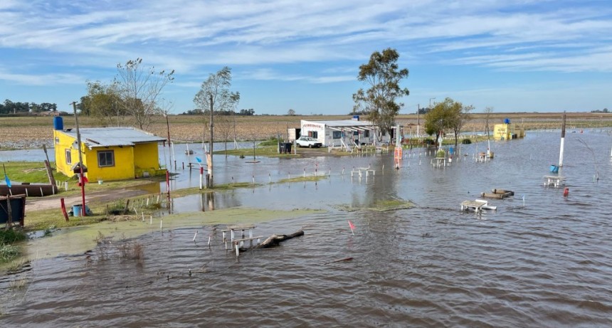 Entrevista a Pamela Ferreyra