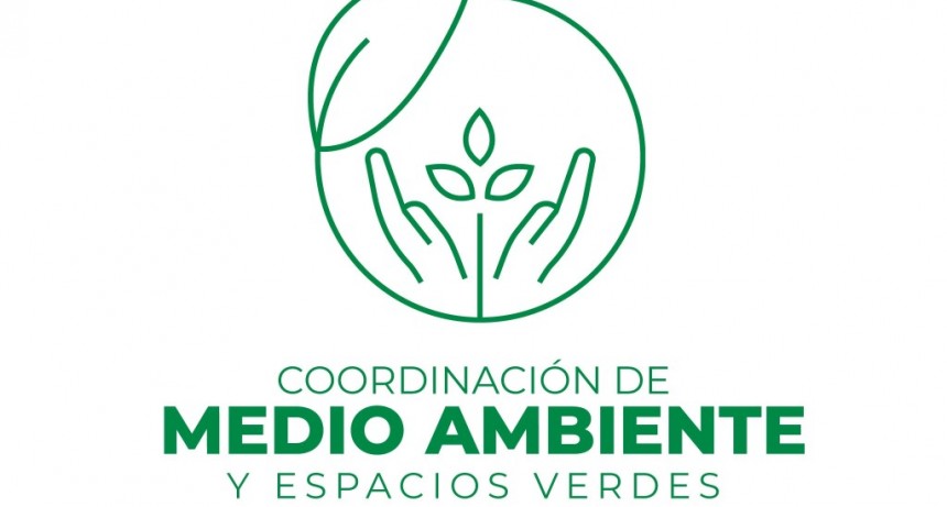 Entrevista a Antonella Vera