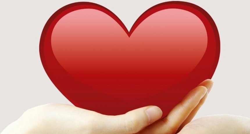 Colecta por Ola Garay