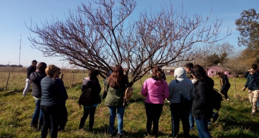Interesante convocatoria registró el taller de poda de frutales