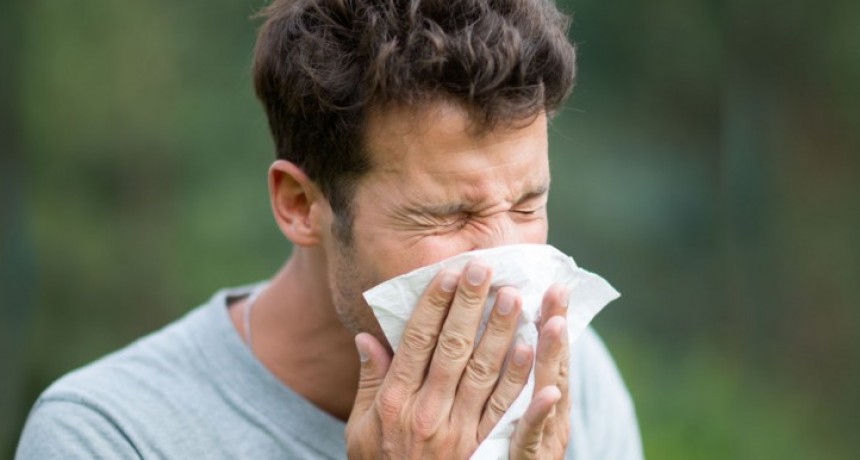 La Columna del Dr. Celeste del 29 de agosto