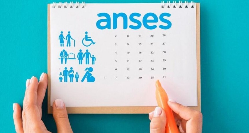 Calendarios de pagos 