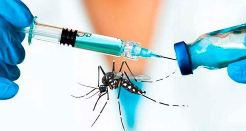Dengue: empiezan a vacunar a quienes no hayan transitado la enfermedad