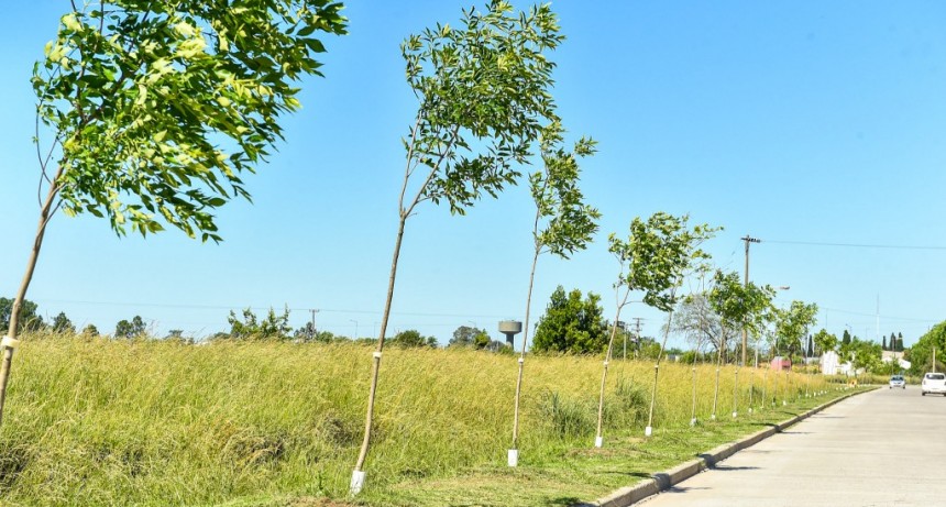 Columna sobre Medio Ambiente